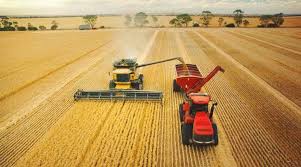 /USA_farm