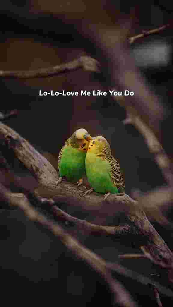 video: Ellie Goulding - Love Me Like You Do chorus lyrics (What are you waiting for?)