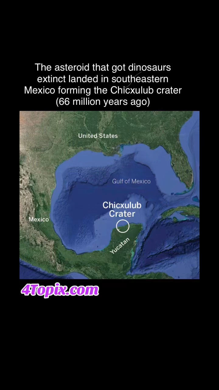 The asteroid that got dinosaurs extinct landed in southeastern Mexico. Part of it was on land and another part in the Gulf of Mexico. It formed the Chicxulub Crater. This happened 66 million years ago.