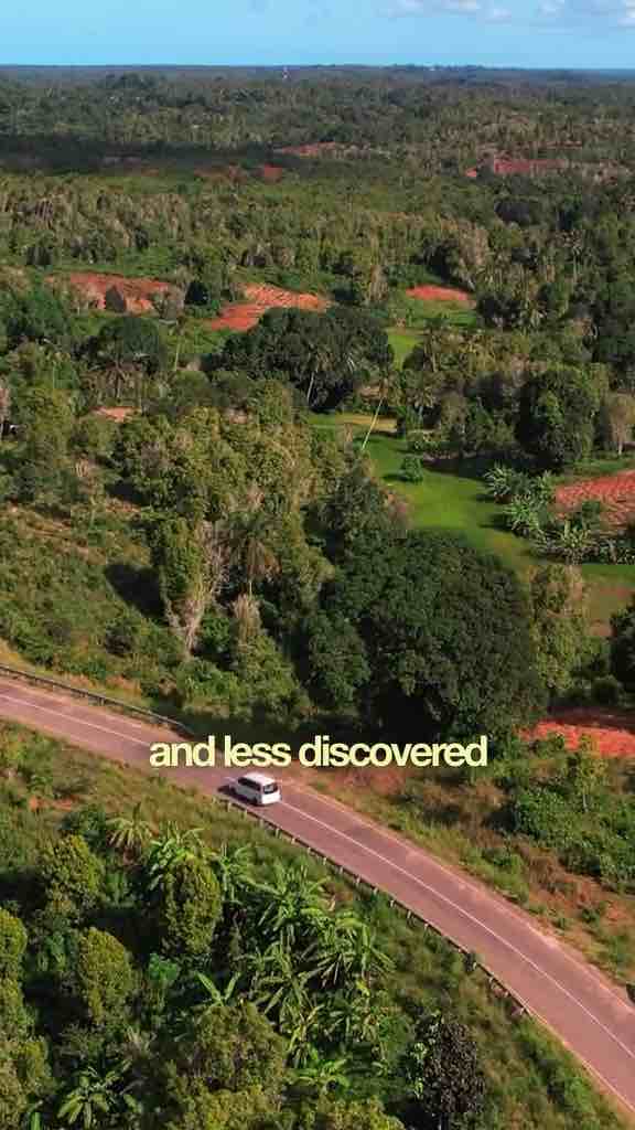 The green island of Zanzibar, Pemba - video by @allyjape