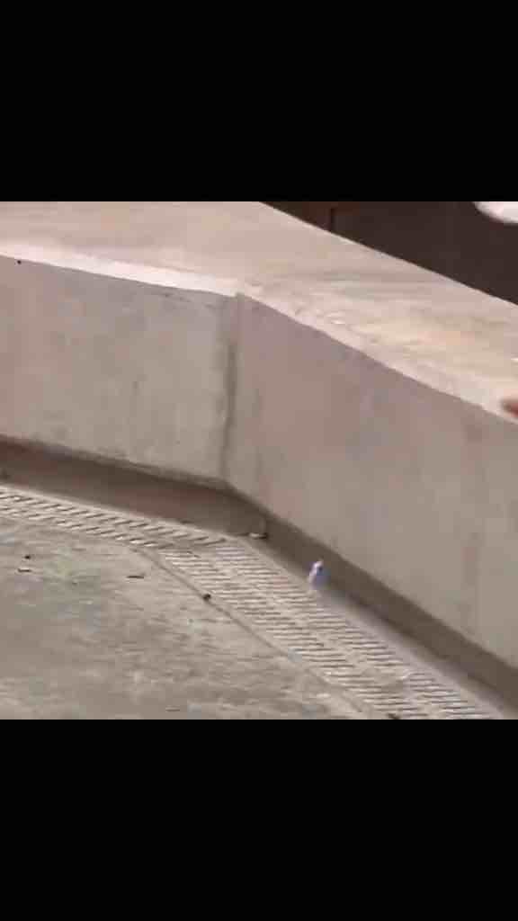 Unique and highly creative skateboarding by @ filosofiakbssa