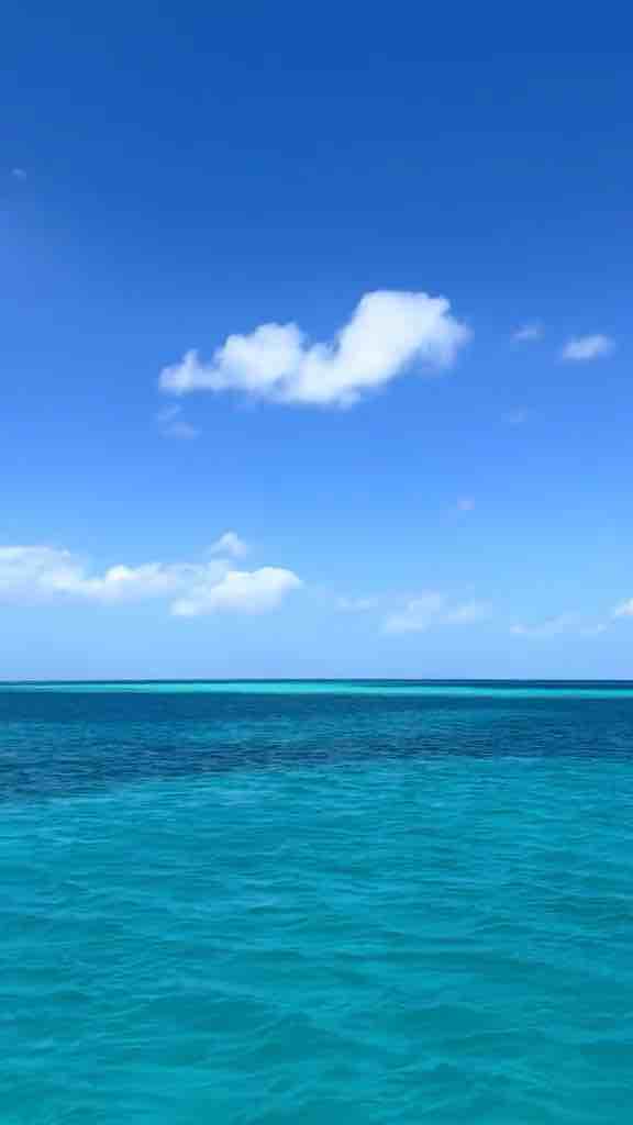 Punta Cana, Dominican Republic - beautiful beach with blue-looking water