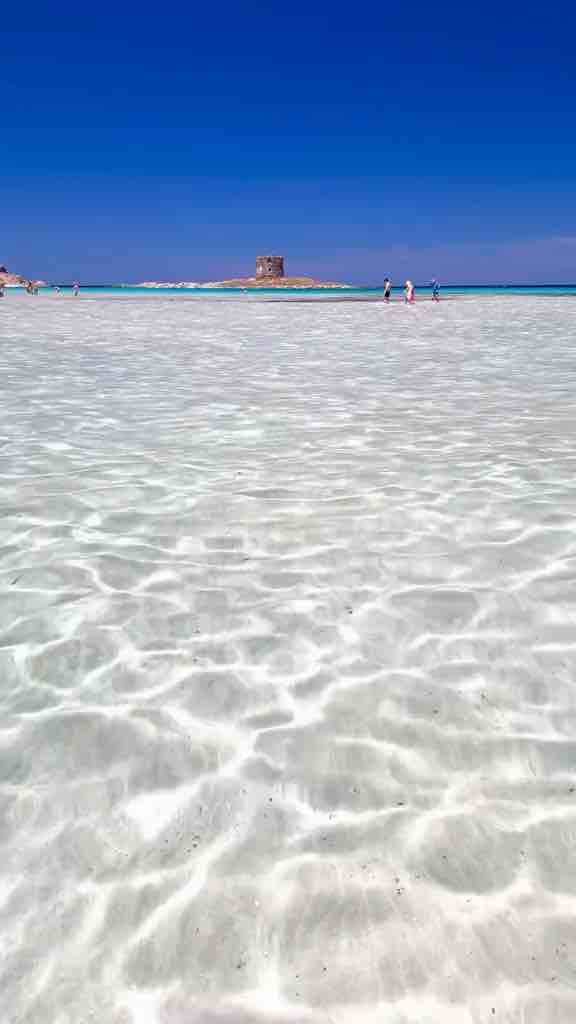La Pelosa beach in Italy has the clear water and white sand - Very beautiful beach