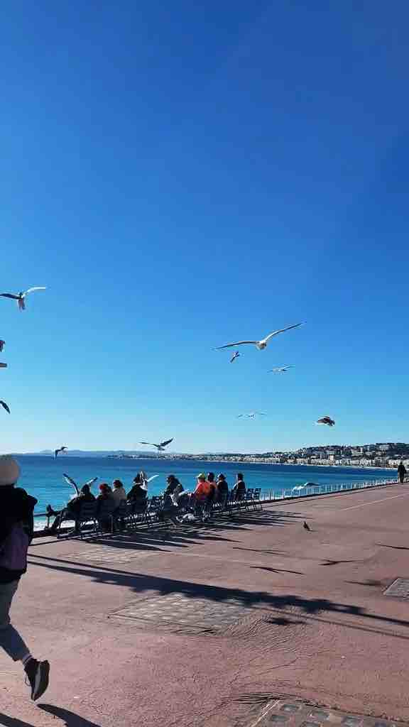 Nice, France. Capital of the unofficial capital of the French Riviera