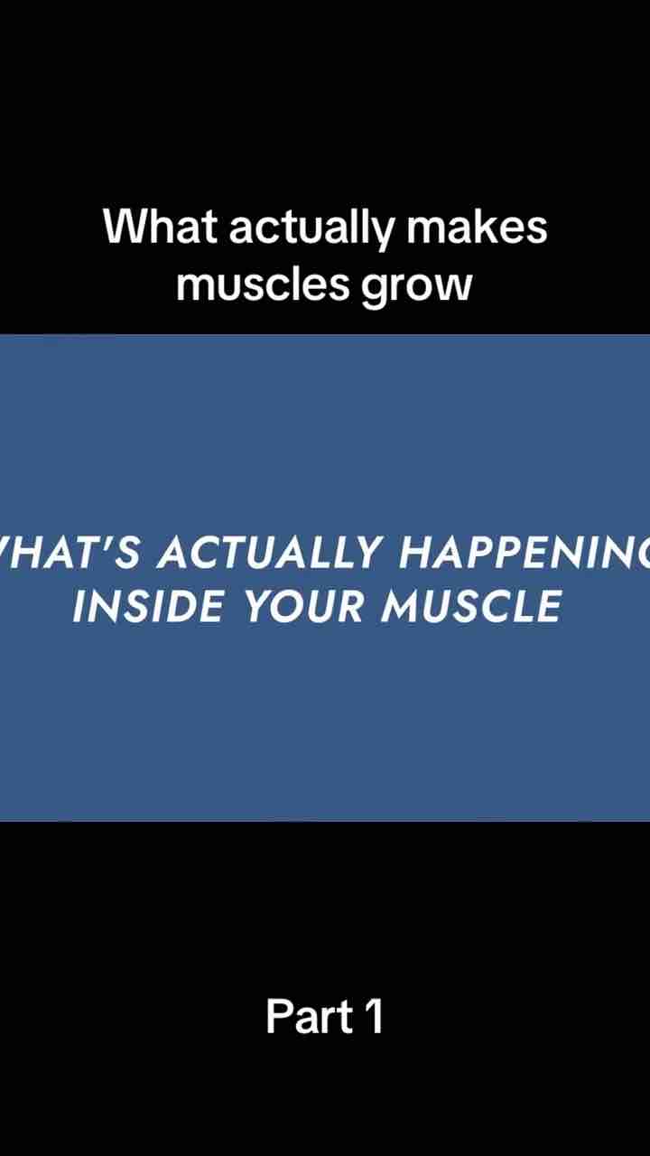 How Makes Muscles Grow Video Illustration Part 1