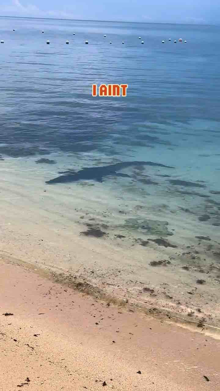 If I can’t see in the water I ain’t getting in it: alligator/crocodile in the water