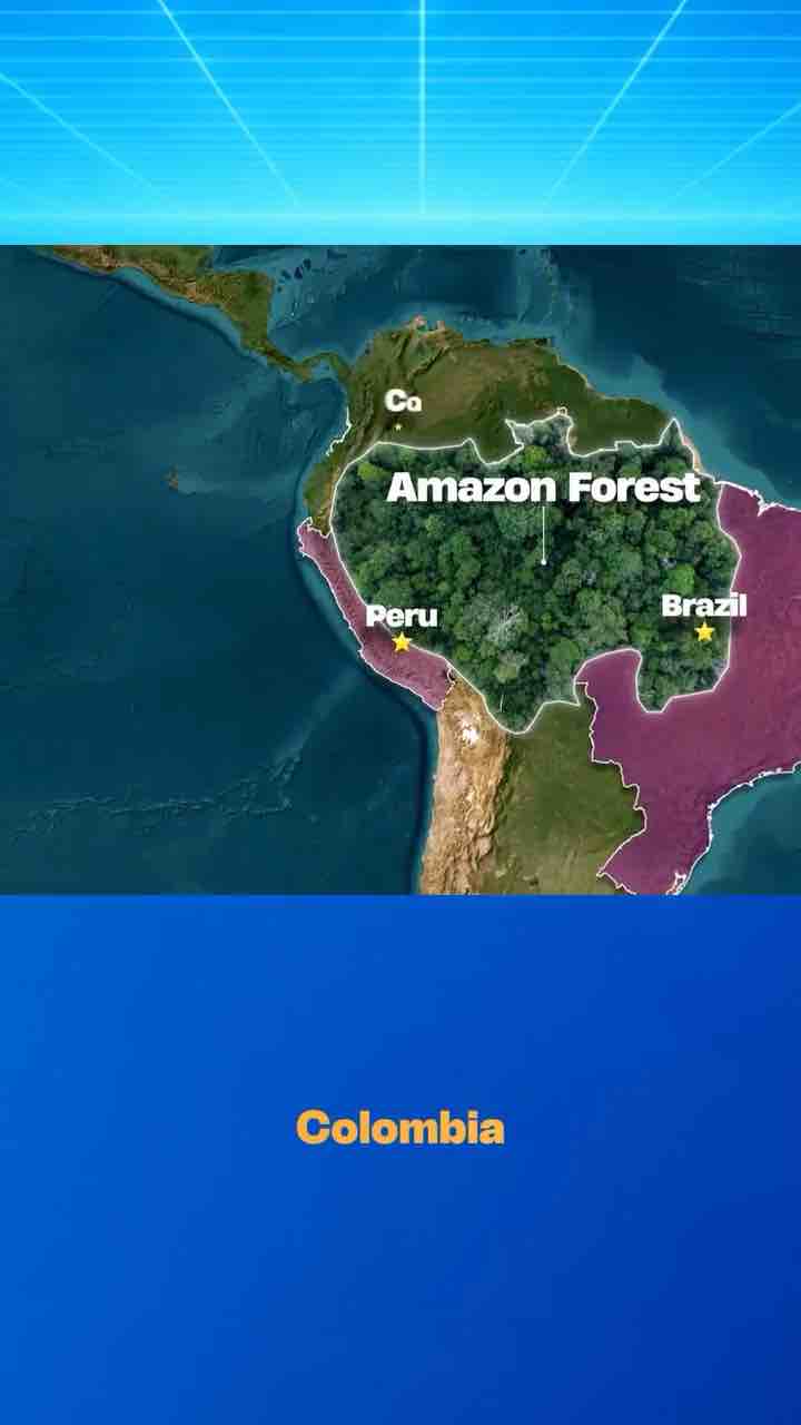 The largest forest in the world is the Taiga not the Amazon