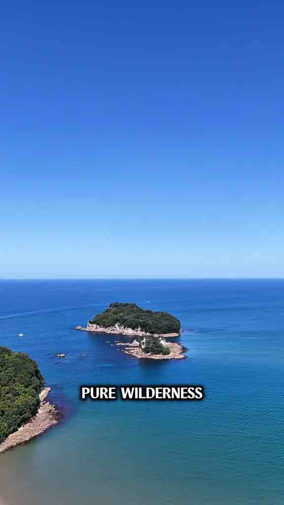 Facts about New Zealand, an island with no native snakes