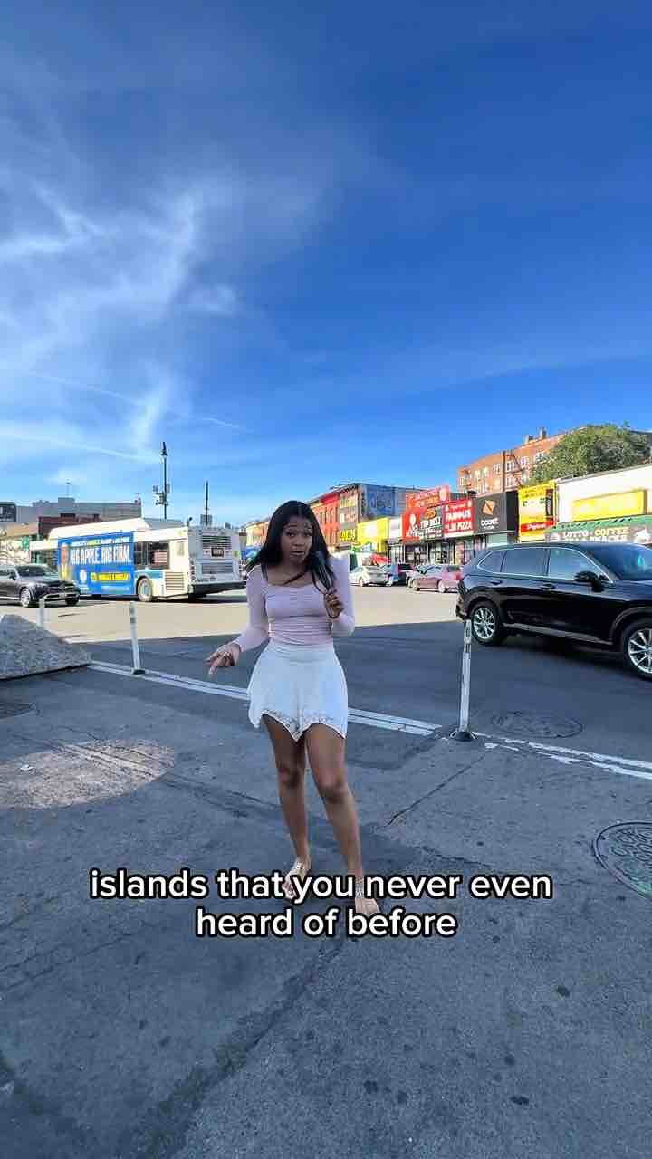 Flatbush in Brooklyn is basically the Caribbean capital of New York. If you can’t afford a flight to Jamaica, Trinidad or St. Lucia just come to Flatbush
