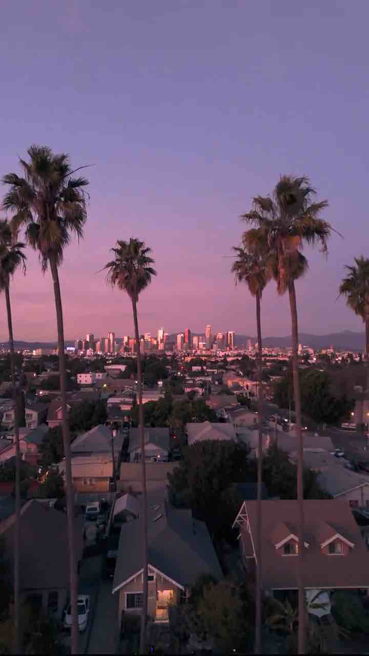Beautiful view of South Central, Los Angeles, California (song: Ice Cube - You Know How We Do It)