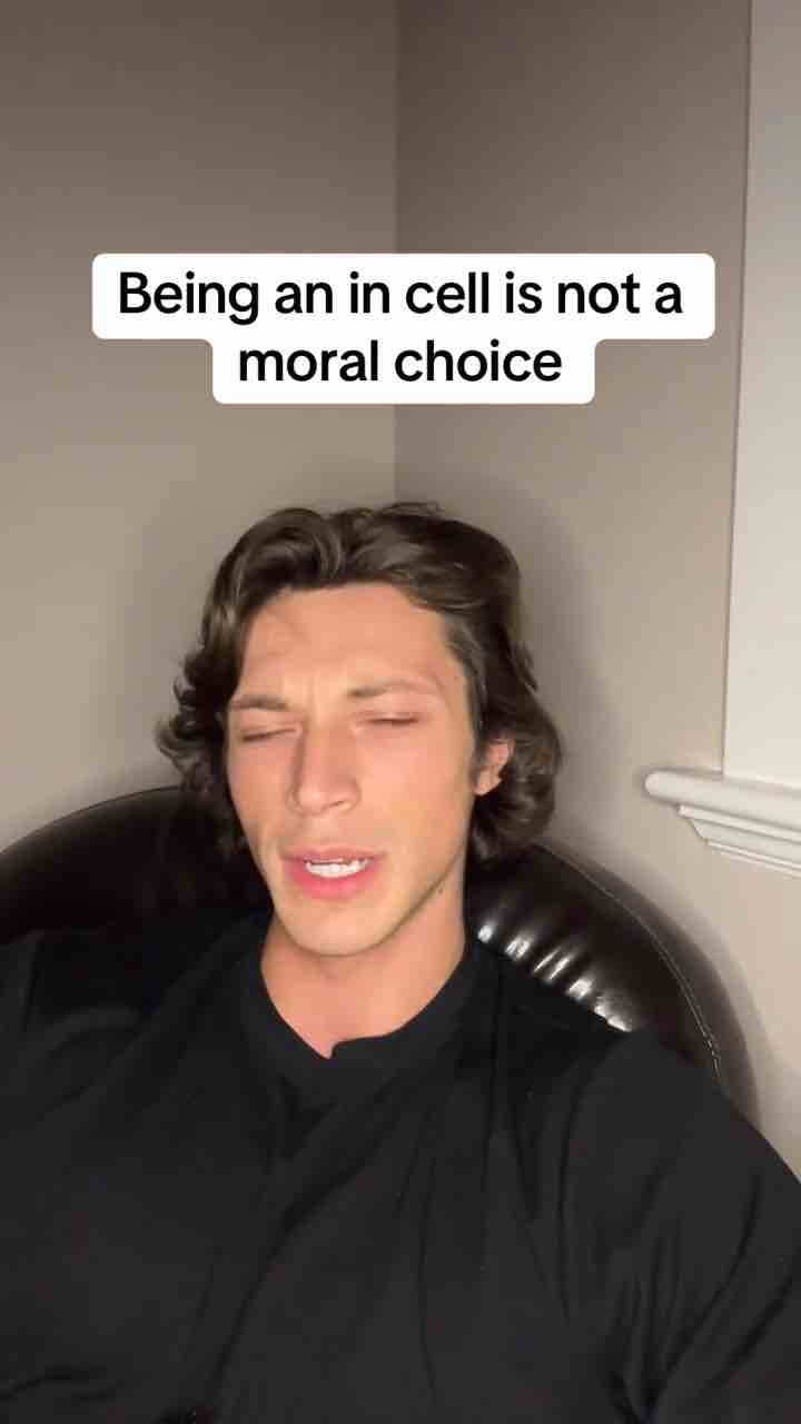 An incel is someone (mostly men) who can not get laid despite their best effort. It is not someone who hates women although SOME of them do. - by @theseus0505