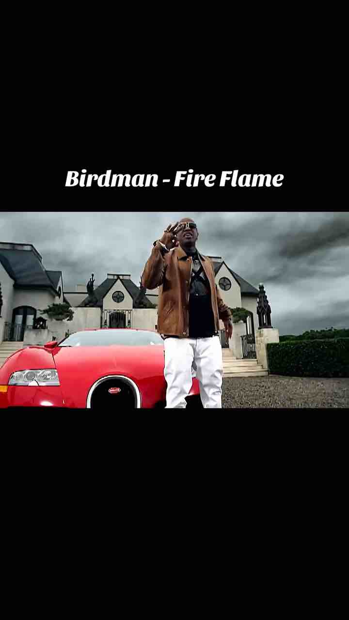 Birdman - Fire Flame - We the business, 100 million dollars