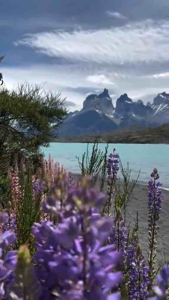 Patagônia - Chile 🇨🇱 video